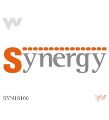 Licencja Synergy na 100 urządzeń, SYN1S100, Lovato
